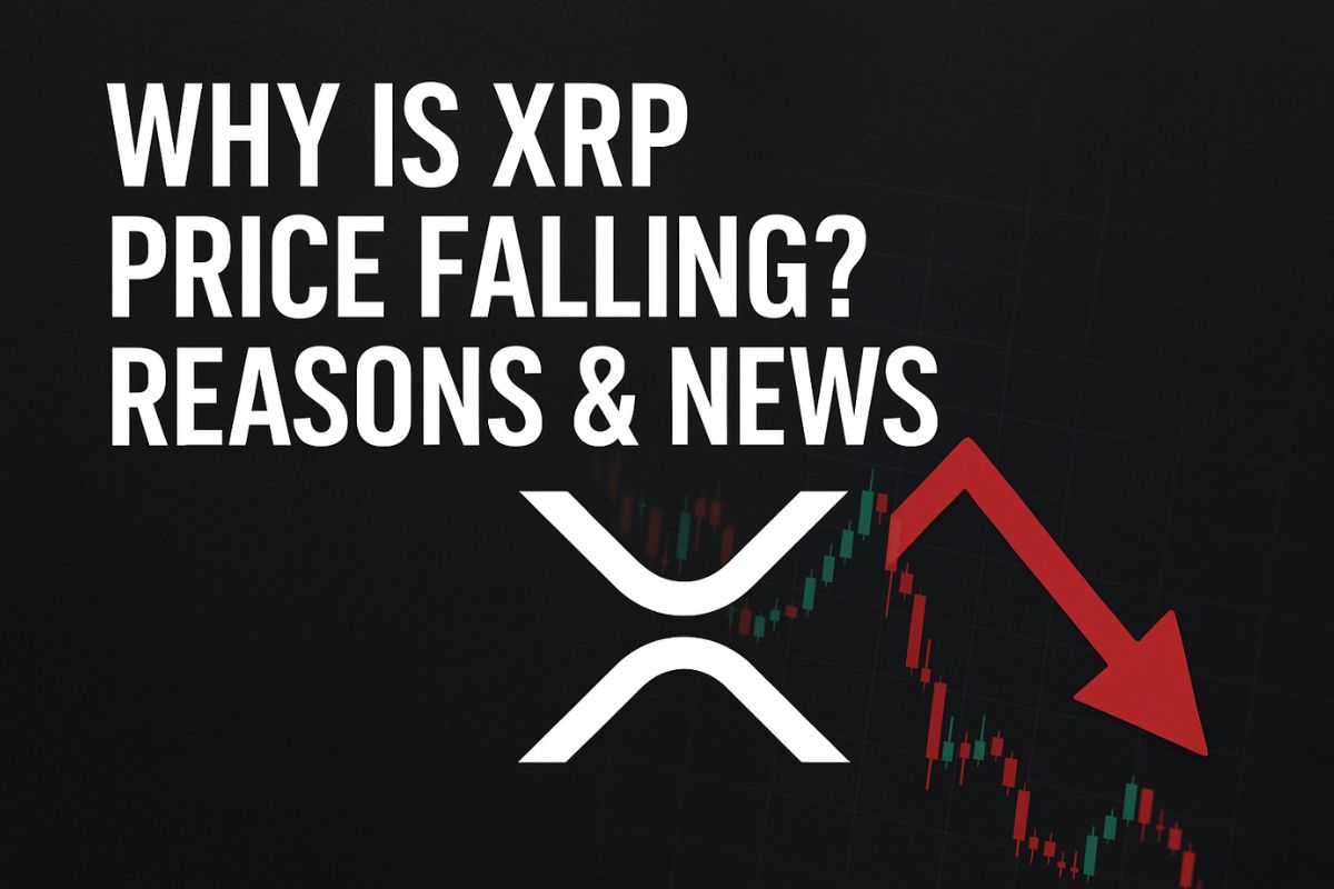 Why Is XRP Price Falling Reasons News: A Deep Dive into Market Trends and Investor Sentiment